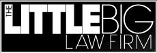 The Little Big Law Firm